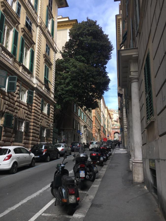 Casa Del Pittore *